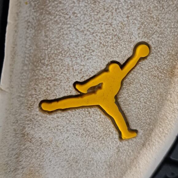 Nike Air Jordan 4 Retro Cool Grey 2019 Men's Size US 9.5  308497-007 - Picture 16 of 16